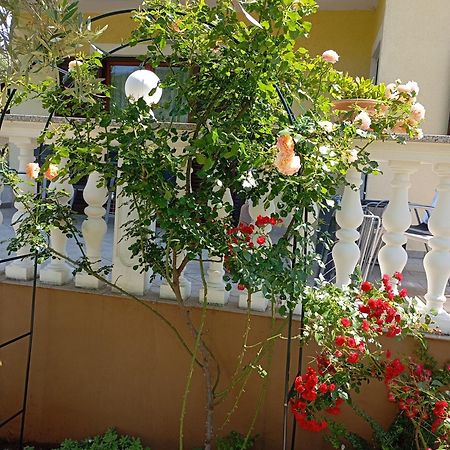 Apartments Nina Ravni Dış mekan fotoğraf