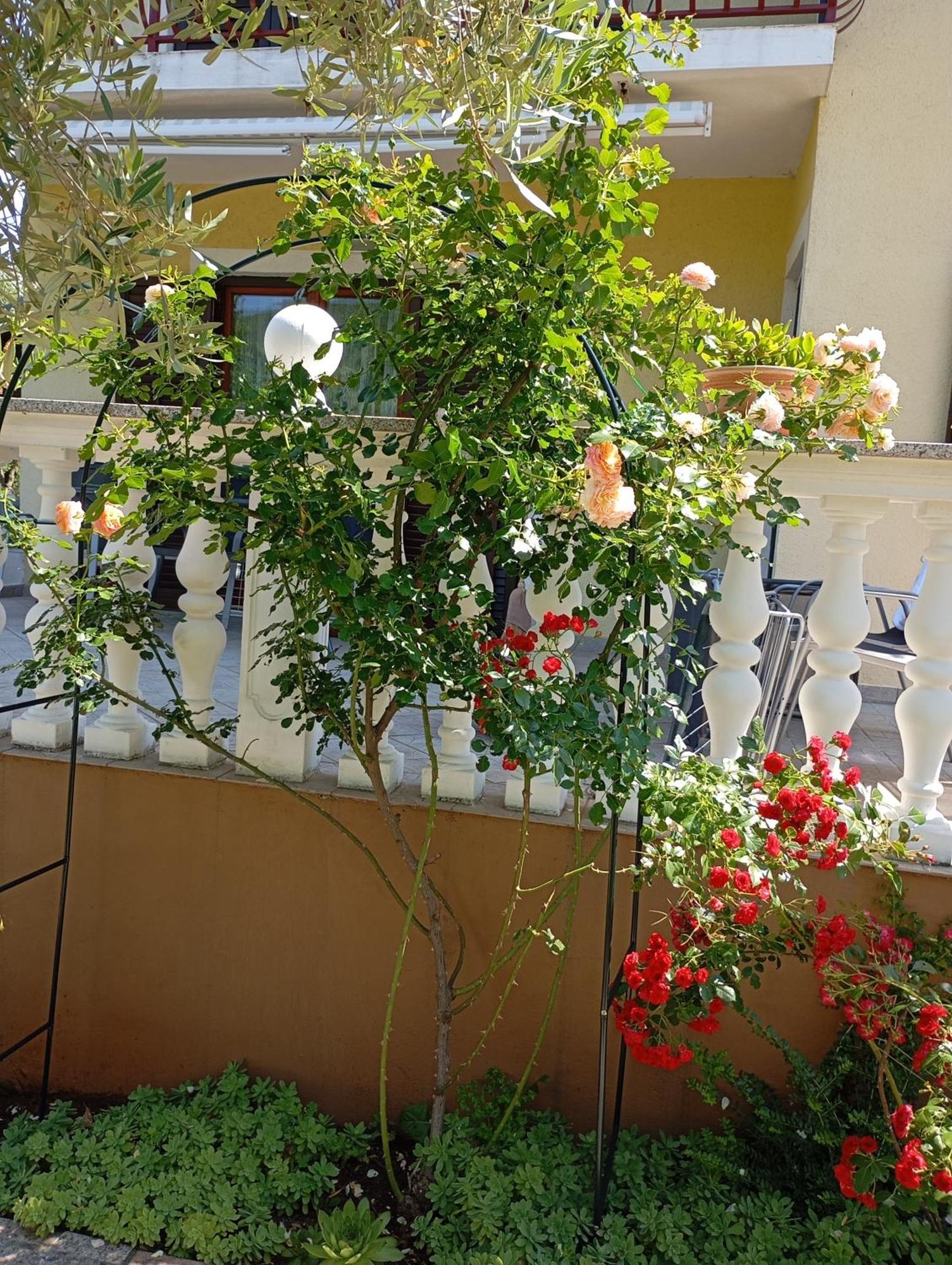 Apartments Nina Ravni Dış mekan fotoğraf